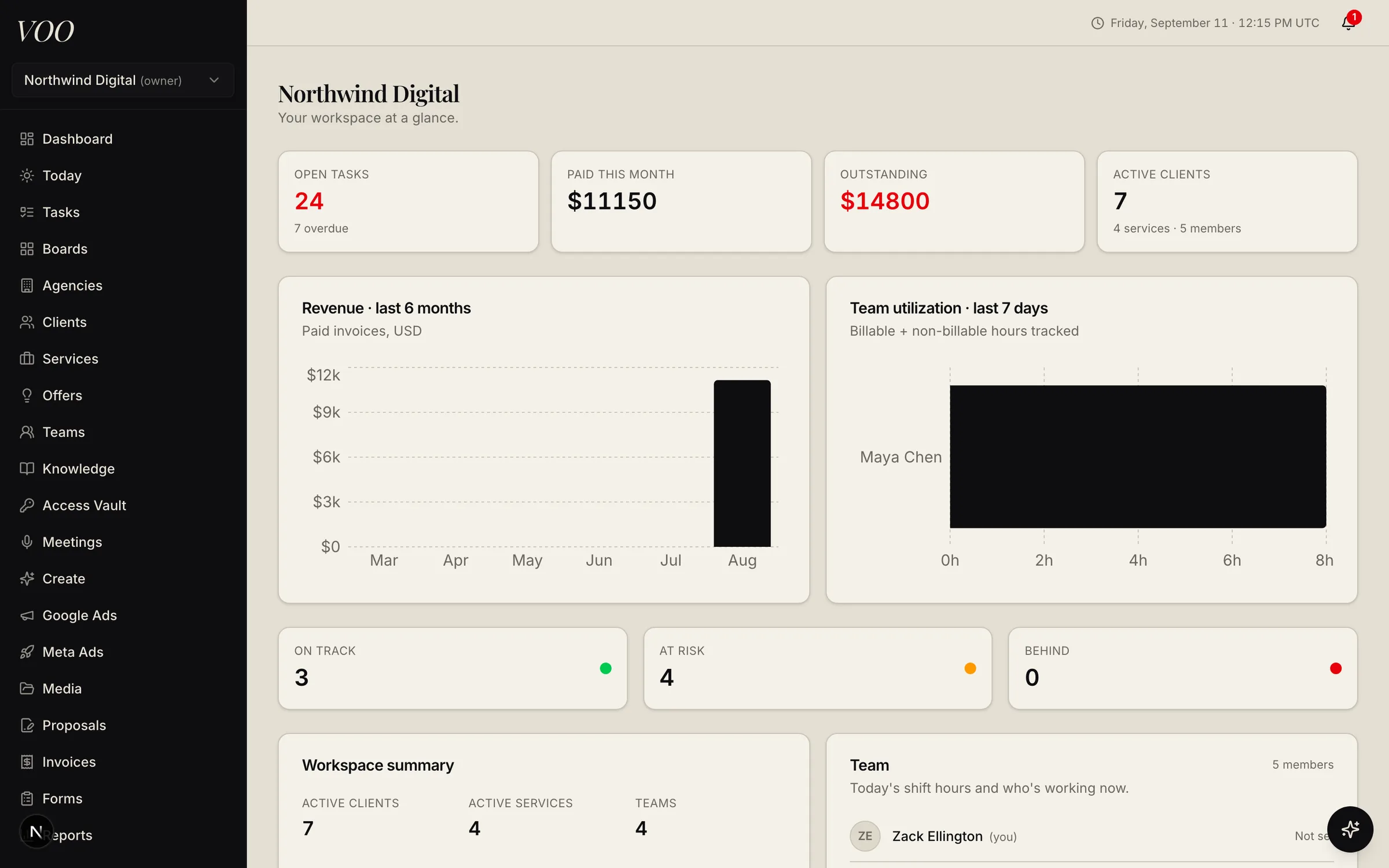 Voo owner dashboard showing open tasks, revenue, team utilization, and client health